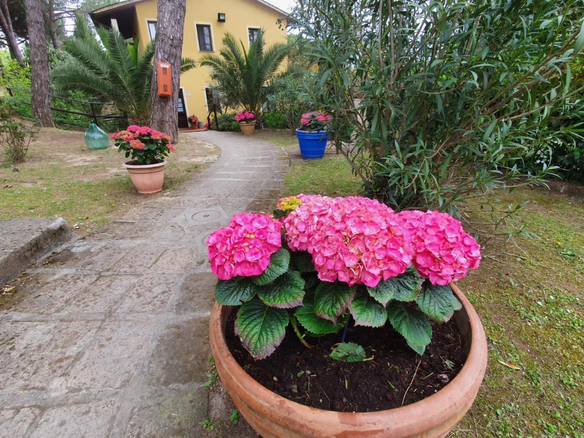 Toscana Holiday Village Montopoli in Val dʼArno Exterior foto